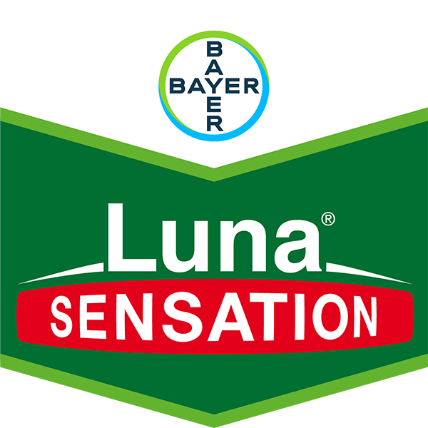 Soppmiddel, gråskimmel, jordbær, Botrytis,  Luna Sensation